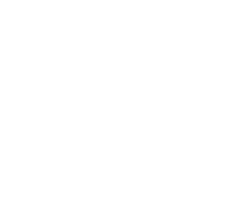 elevate_footer_logo